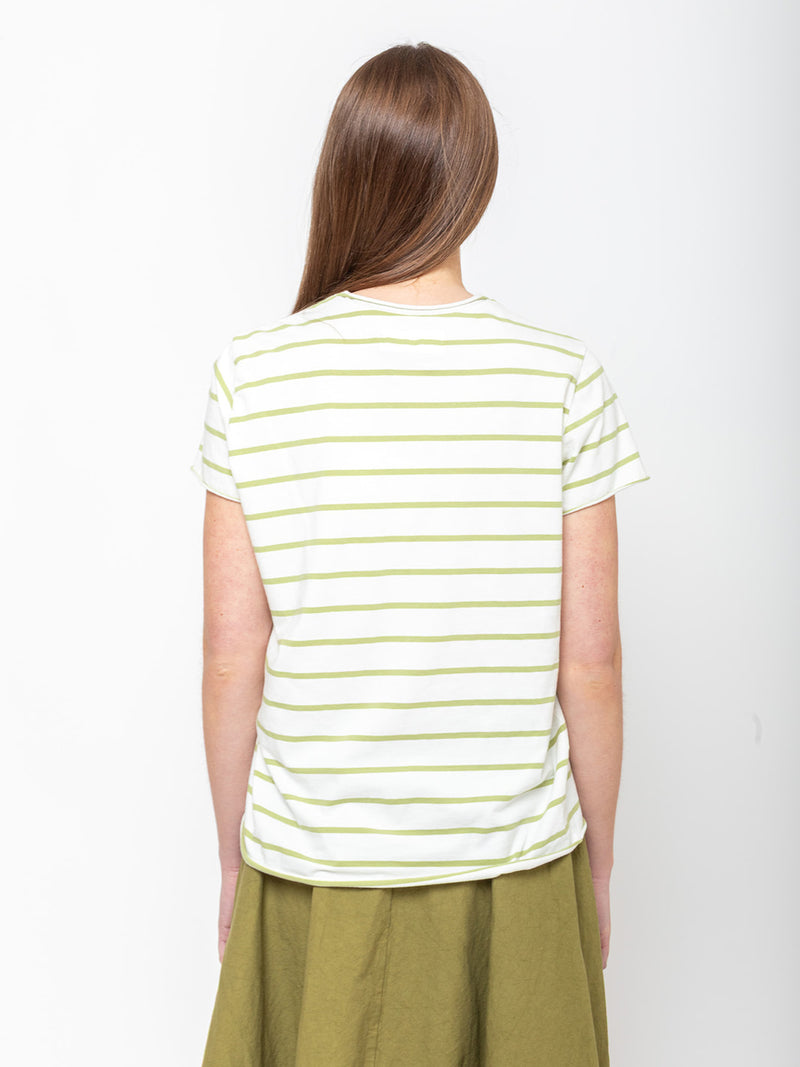 Maglia Rico Stripe Jersey Tee - Pisello